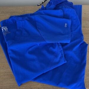 One Blue Scrub Set